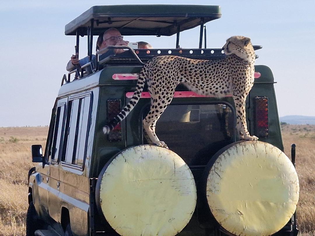 JRO Airport Transfers to Kilimanjaro and Arusha